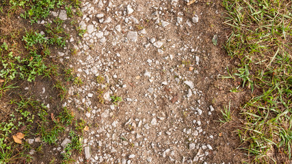 trail and grass