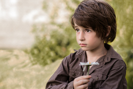 Boy holding a marguerite daisy flower