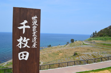 Terraced rice field in Ishikawa, Japan