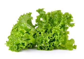 Fresh green lettuce isolated on a white background