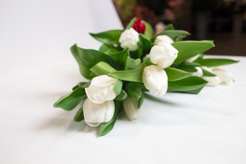 Obraz na płótnie Canvas beautiful white tulips isolated on white