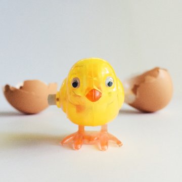 Close-up of a Wind-up plastic chick and an egg shell on a table