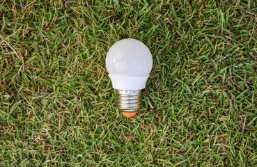 LED Bulb - on the green grass