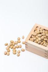 節分の豆とマス