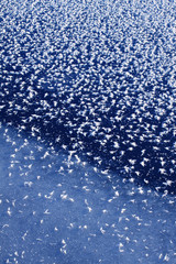 Obraz premium frost patterns on lake