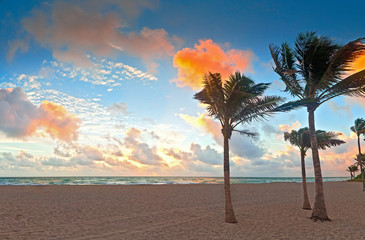 Miami Beach Florida at sunrise, beautiful colorful sky on a summer morning with palm trees