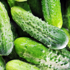  green cucumbers.