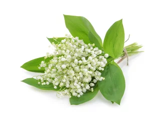 Wall murals Lily of the valley Lilies of the valley isolated on white background