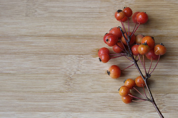 Red berries on branch on wooden background 
