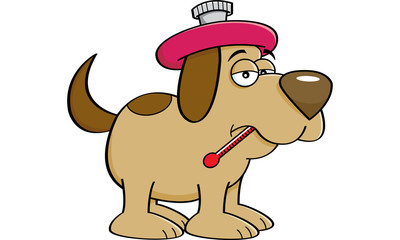 Cartoon illustration of a sick dog with a thermometer.