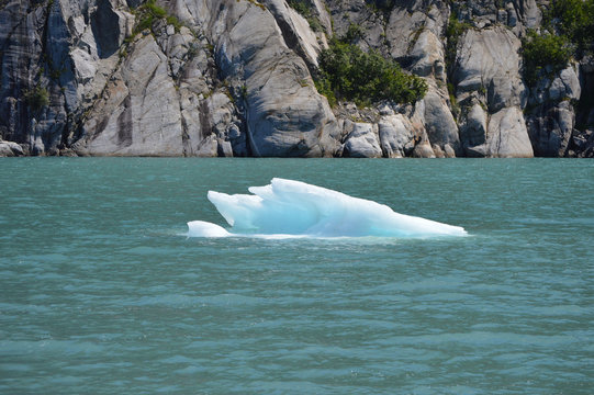 Floating Ice