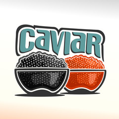 Vector illustration on the theme of caviar