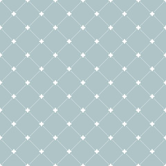 Fototapeta na wymiar Geometric repeating vector ornament with diagonal dotted lines. Seamless abstract modern light blue and white pattern