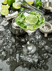 Cocktail ingredients. Aperitif. Food and beverages
