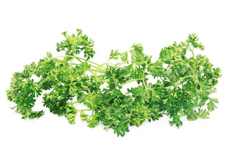 Curly parsley