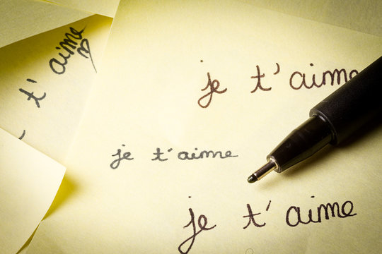 MOI JE T AIME intelligence overview