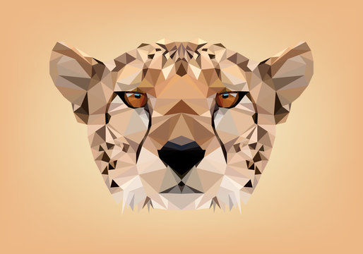 ghepardo low poly