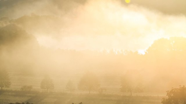 Nebel zur Morgenstunde