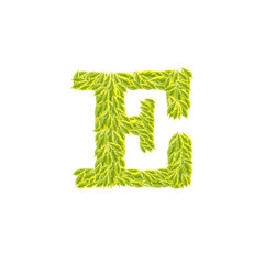 Closeup pile of green leaves in E english alphabet isolated on white background