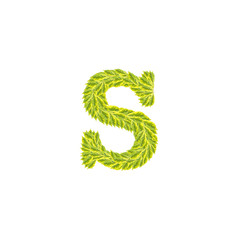 Closeup pile of green leaves in S english alphabet isolated on white background