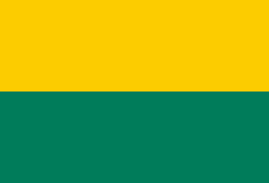 Vlag de gemeente Den Haag