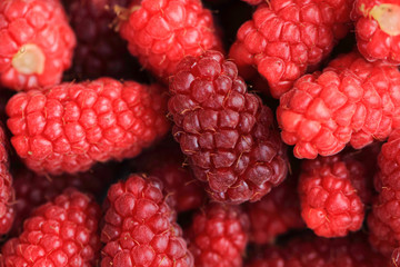 fresh raspberries background..