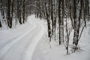 Obraz premium Road in the snowy forest, Winter, Russia