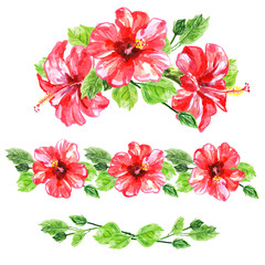 Set of red watercolor Hibiscus flower.