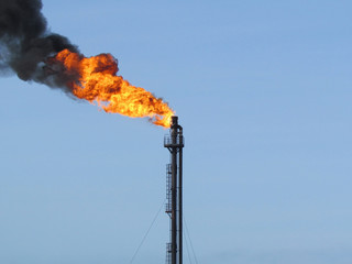 Torch system on an oil field