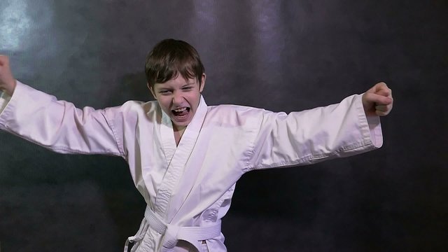 Karate boy kid screaming success teenager victory rejoices