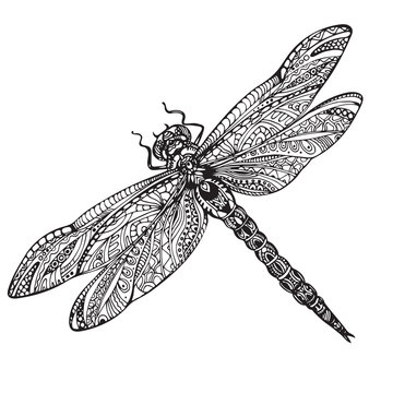 Hand drawn dragonfly in zentangle style