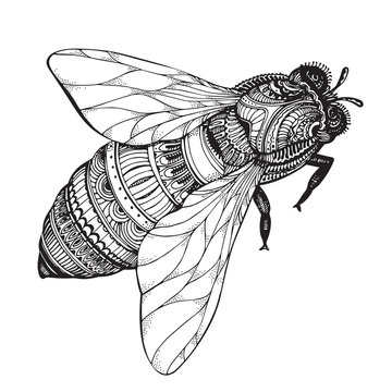 Hand drawn honey bee in zentangle style.