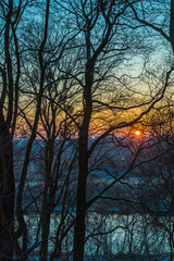 Wschodzące słońce pomiędzy konarami drzew © Piotr Gołębniak
