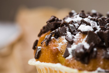 Appetizing sweet fragrant muffin