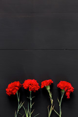 Still life of several red carnations on black background