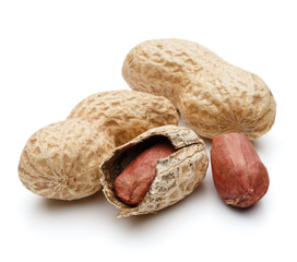 peanut pod or arachis isolated on white background cutout