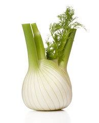 Fresh fennel bulb isolated on white background close up