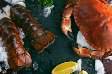 Seafood background - 100471870