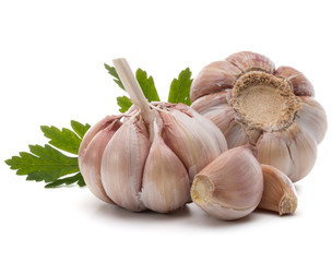 Garlic bulb and parsley herb still life isolated on white backgr