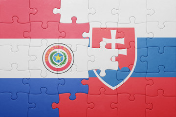 puzzle with the national flag of slovakia and paraguay
