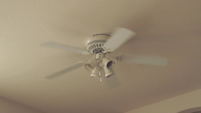 A five bladed ceiling fan with lights is rotating slowly clockwise.