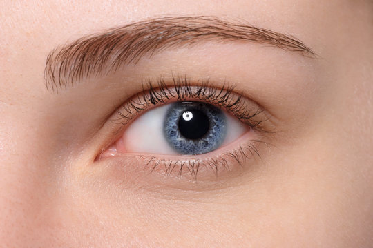 Close up blue eye with natural makeup