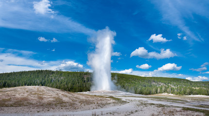 Old Faithful geyser eruption