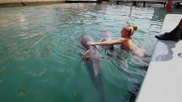 woman swims with dolphins in dolphinarium