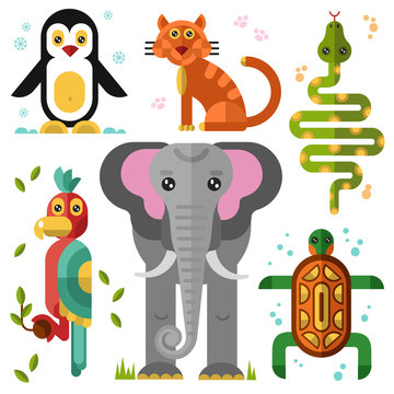 Geometric flat animals: kakadu, elephant, parrot, penguin, turtle, snake, boa, wild cat, bobcat. Flat vector illustration set. 