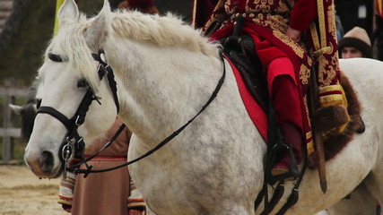 Rich feudal lord wearing luxury suit sitting astride dappled pedigree horse