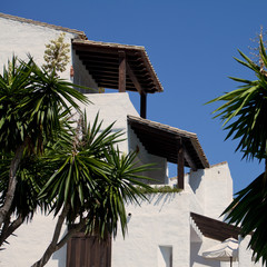 Fototapeta premium white architecture palm tree holidays
