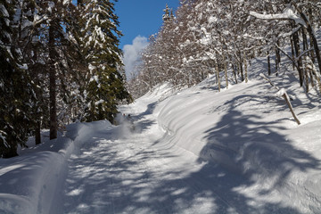 Snowy mountain landscape with the Julian Alps