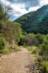 Fototapeta na wymiar Mountain landscape, Upper Galilee in Israel
