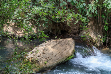 Golan Heights. Banias Nature Reserve